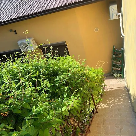 بيت ضيافة Casa Salcia فاما فيكي